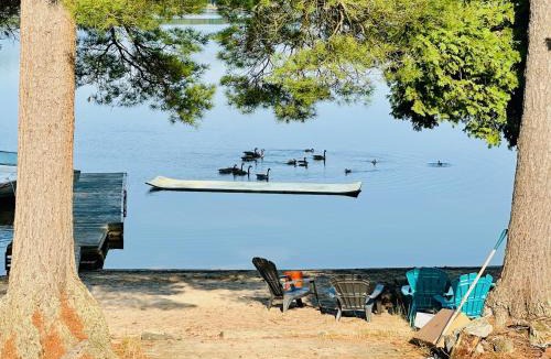 Bala House | Muskoka Sandy Beach Cottage