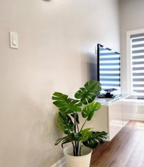 Downtown Apartment | The Zen Escape Modern Queen Size One Bedroom Full Apartment