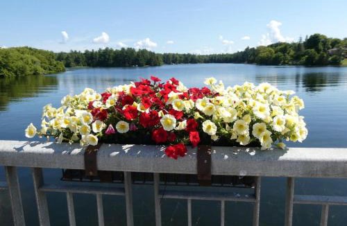 Coboconk House | Balsam Lake Cottage 5 Bed room