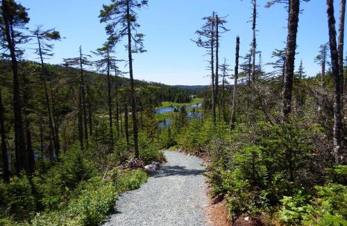 Mount Carmel-Mitchells Brook-St. Catherines Resort | The Wilds at Salmonier River