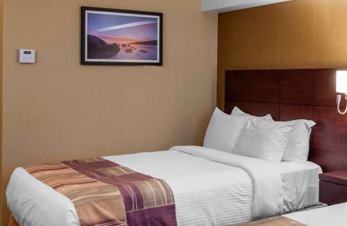 Gander Hotel | Quality Hotel & Suites