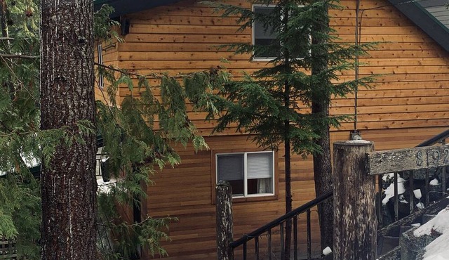 Cozy 1970's Ski Cabin in Whistler, close to Whistler Village and ski lifts