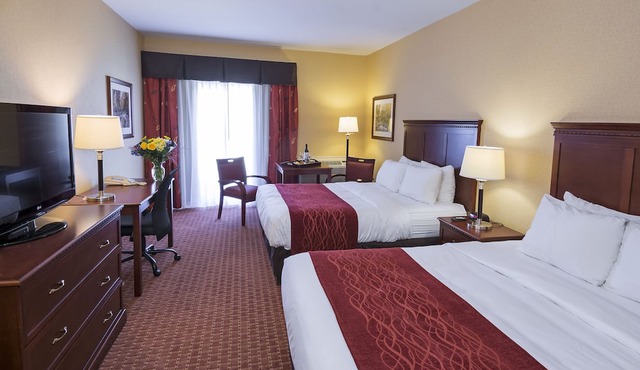 Comfort Hotel Airport