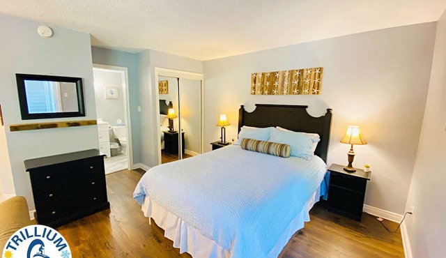 Slopeside Condo - Wifi, Linens/Towels, Ski In/Out