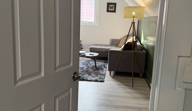 Newly Renovated Loft Prime Location Free Parking & Washer/Dryer