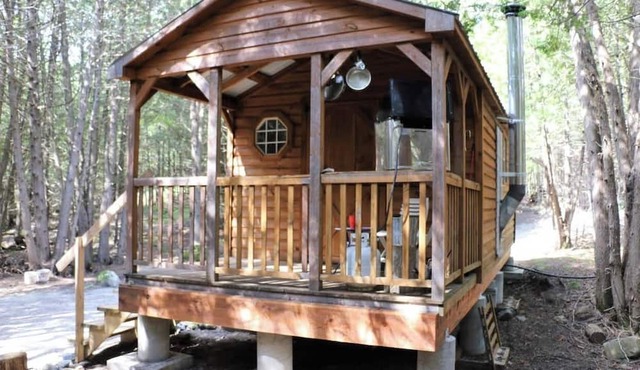 The Hideaway- Cozy forest escape with sauna and trails 10 minutes from Bull Lake