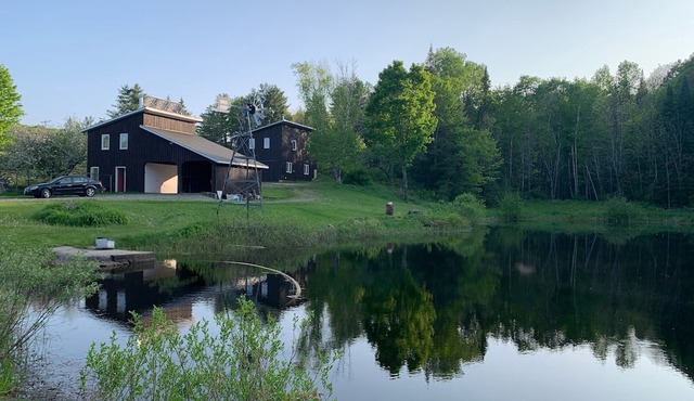 Cozy Cabin and Sauna in the Forest near Bon Echo Provincial Park