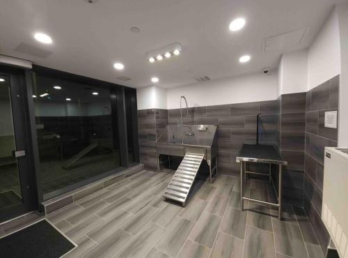 Stylish and Cozy in DT Kitchener & Uptown Waterloo