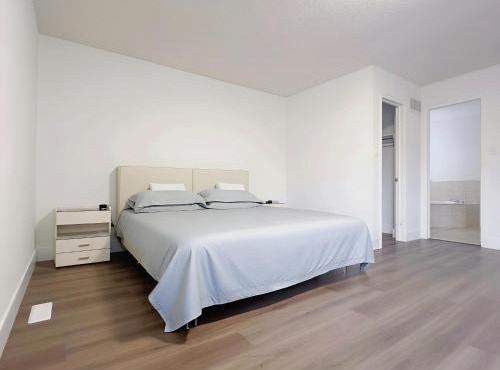 Modern Oasis Mississauga - Near Airport