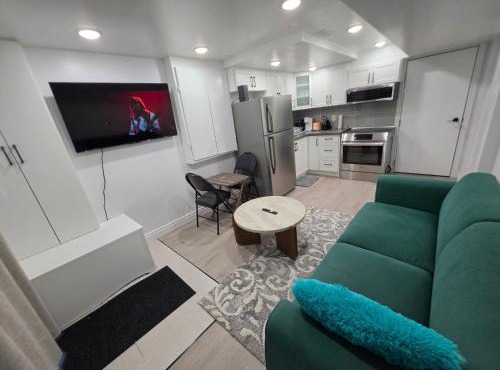 Luxury, Cozy, Brand New, 1-Bedroom Unit