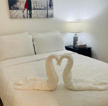 Cozy Private Room with Shared Bathroom in Toronto