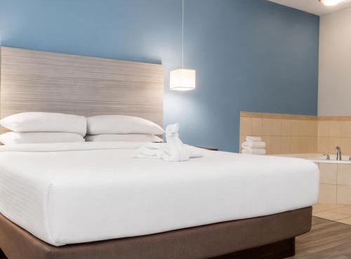 Signature Stay Inn & Suites - Downtown Hamilton