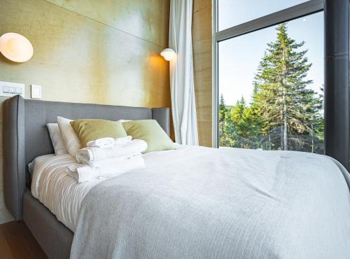 DUN - Panoramic View with Spa Near Quebec City