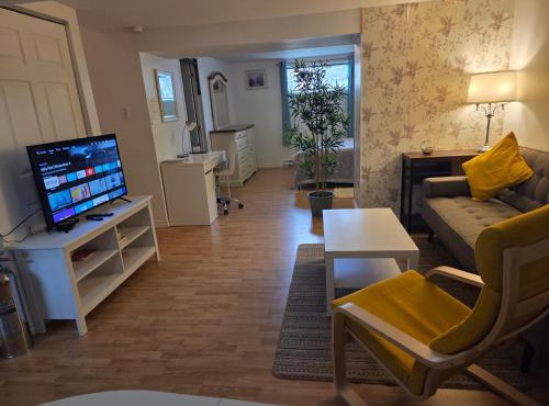 L ' Arlequin Suite et logement
