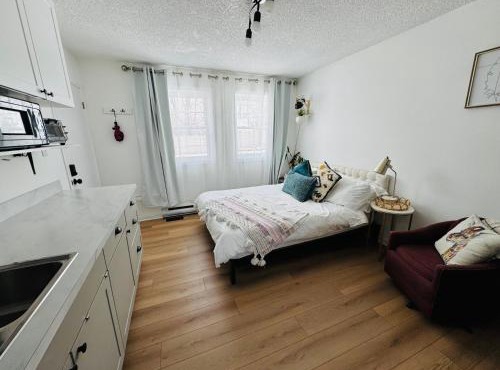 NookSide Nest Studio Queen Parking Kitchenette