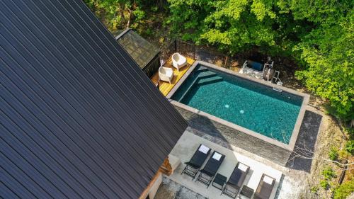 The ANIMAL - PARTY TIME - POOL SPA AND MOUNTAIN