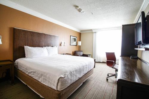 Waterloo Suites Hotel, Trademark Collection by Wyndham