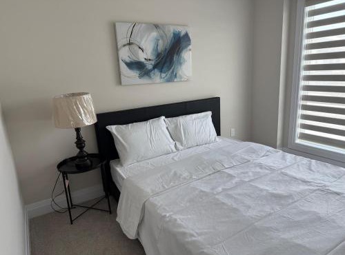 Cozy 3 Bedroom Townhome Hyde Park Mall & Western University