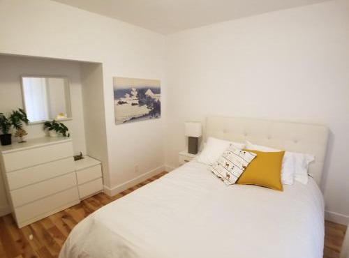 3 bedroom near Olympic Stadium