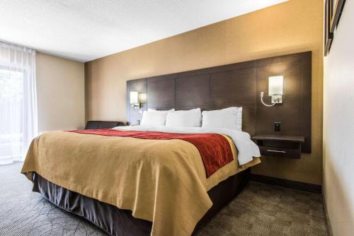 Comfort Inn